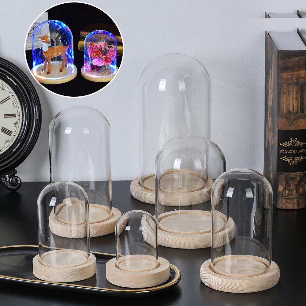 Terrarium Tabletop Fairy Light - đánh giá và giá Reusable Bottle