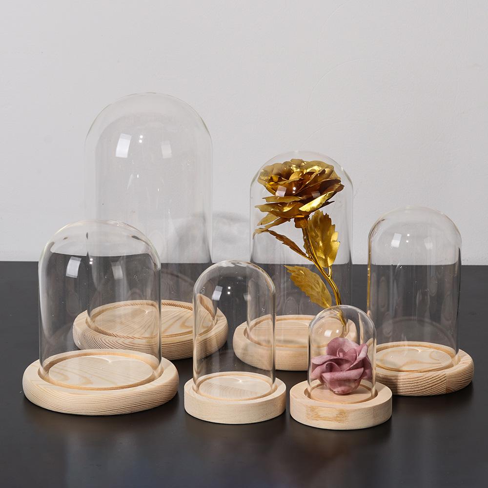 Terrarium Tabletop Fairy Light - đánh giá và giá Reusable Bottle